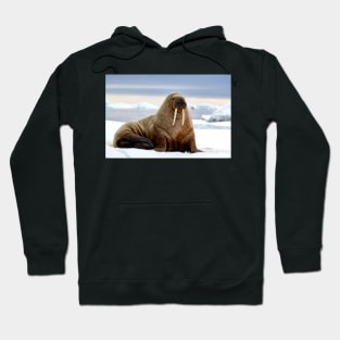 I Am the Walrus Hoodie